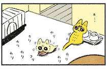 甘えたい新入り猫VS構われたくない先住猫。このまま平行線かと思ったら...!?／茶トラのやっちゃん2