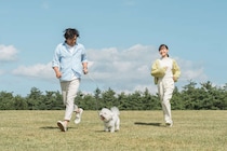 愛犬・愛猫を「がん」にさせないために！免疫力を高める4つの生活習慣