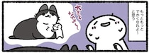 朝「うちの猫こんな大きかったっけ？」と思った飼い主が、さらに思うこと／あっち こっち ネッチ！
