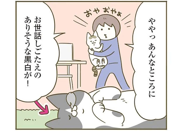 自分が「かわいい」自覚がある猫。撫でられスタンバイをしているのに素通りされると...／うちの猫がまた変なことしてる。5