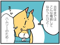 幼い息子のため、アパートの大家さんが...。え？ このキラキラ電飾って？／大家さんとハムソー