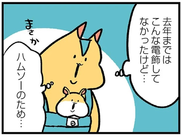 幼い息子のため、アパートの大家さんが...。え? このキラキラ電飾って?/大家さんとハムソー