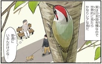 一部の外国人に「憧れの存在」。でも意外と身近で見ることができる鳥は／まだまだ！意外と知らない鳥の生活