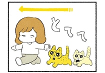 ケンカが絶えなかった2匹の猫たち。一緒にいる姿が当たり前の風景に／茶トラのやっちゃん3