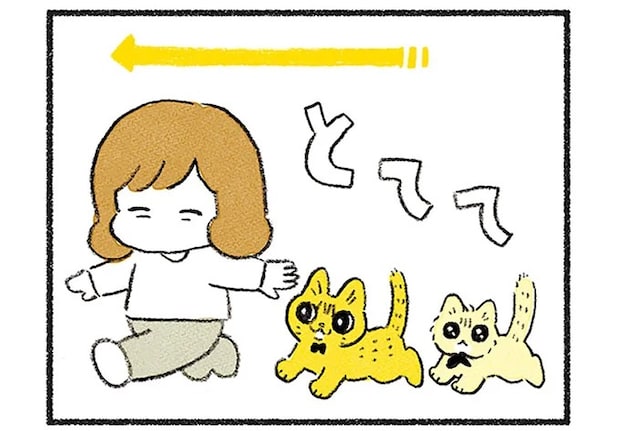 ケンカが絶えなかった2匹の猫たち。一緒にいる姿が当たり前の風景に/茶トラのやっちゃん3