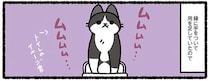 トイレの縁に手をついて用を足す愛猫。狭いから？とサイズを大きくしたら...／あっち こっち ネッチ！