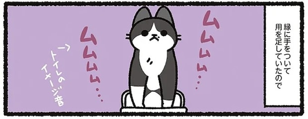 トイレの縁に手をついて用を足す愛猫。狭いから?とサイズを大きくしたら.../あっち こっち ネッチ!
