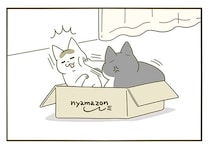 一つの箱を取り合う2匹の猫。もう一つ箱を出してみると...なんで？／うちの猫がまた変なことしてる。5