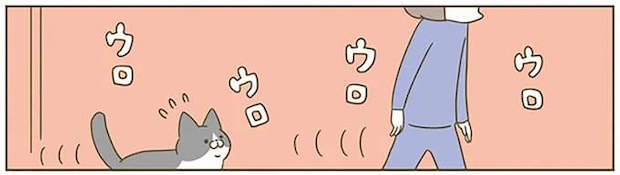 飼い主について歩く猫。このまま運動させようとウロウロした結果...え？／うちの猫がまた変なことしてる。5