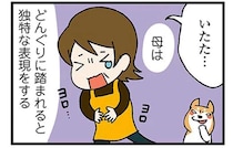 うちの柴犬に踏まれるのは痛い。妙に納得できる、母の「独特な痛みの表現」／ドヤ顔柴犬どんぐり