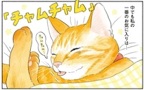 猫が発する「魅惑のチャムチャム」。仕事中の人間をもダメにしてしまう!?／茶トラのやっちゃん3