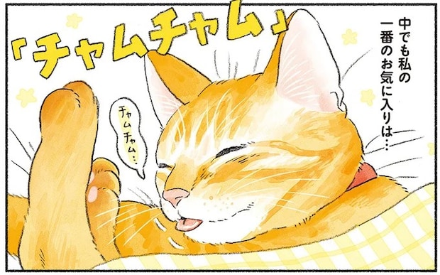猫が発する「魅惑のチャムチャム」。仕事中の人間をもダメにしてしまう!?／茶トラのやっちゃん3