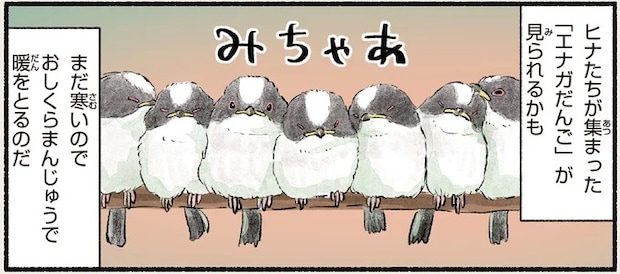 「見られたら悶絶ものの可愛さ」寒い日にぴったり寄り添う鳥のヒナ/まだまだ!意外と知らない鳥の生活