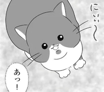 「私たちで飼います」聞こえてきた猫の鳴き声。見に行ったらお腹を空かせた猫が...／にゃんかつ