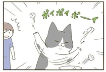 愛だったのに...猫への気づかいが裏目に。そんな邪魔だった？／うちの猫がまた変なことしてる。5