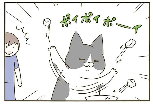 愛だったのに...猫への気づかいが裏目に。そんな邪魔だった？／うちの猫がまた変なことしてる。5
