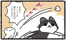 猫が「丸めたティッシュ」で遊ぶことにハマった愛猫。部屋の中が...ああ／あっち こっち ネッチ！