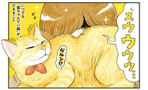 猫と暮らす在宅ワーカー。「一番うれしい」と思ったことは？／茶トラのやっちゃん3
