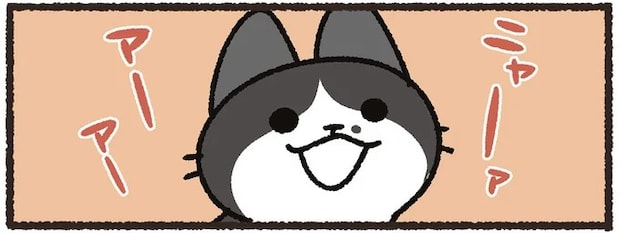 「猫の誘い」を断った飼い主。あとから謝りに行ったら...ごめんて／あっち こっち ネッチ！