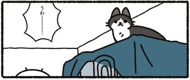 「なんだその顔は...」高いところに登った猫。飼い主が下ろそうとしたら⁉／あっち こっち ネッチ！