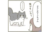 「容赦ない猫」。ぎっくり腰になった夫に猫が...⁉／うちの猫がまた変なことしてる。6