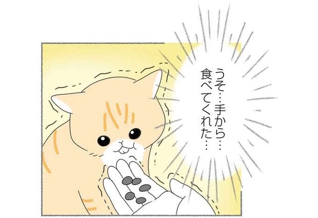 人間にいじめられていた猫を保護。心を開いてくれた瞬間に思わず涙が.../にゃんかつ