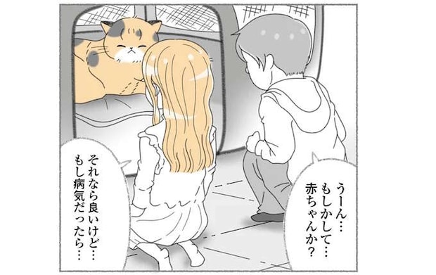 野良猫を保護したが、気になる「お腹のふくらみ」。病気？ もしかして...赤ちゃん？／にゃんかつ