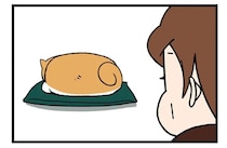 「あ...寝そう」睡魔と戦う柴犬。ウトウトしてハッ...飼い主が思うことは／ドヤ顔柴犬どんぐり2