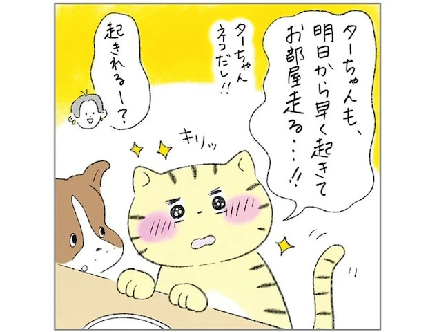 明日から早く起きる！と決意したネコのターちゃん。翌朝は...!?／元ノラ猫と元保護犬、ふたりは親友