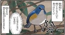 公園で会えるのは冬の間だけ。見かけたら幸せな気分になれるかも...？／まだまだ！意外と知らない鳥の生活