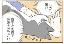 寒い夜、猫を呼んで暖をとろうと思ったら...。猫はこんな顔に／うちの猫がまた変なことしてる。6