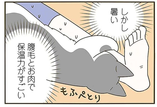 寒い夜、猫を呼んで暖をとろうと思ったら...。猫はこんな顔に／うちの猫がまた変なことしてる。6