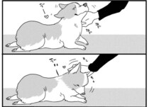 「ワンコの体の不思議」。ここが足と連動してる...？／あしょんでよッ ～うちの犬ログ～1