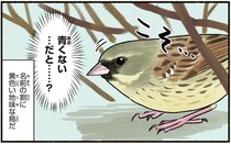 名は体を表さない。名前と違って地味な羽根色の鳥／まだまだ！意外と知らない鳥の生活