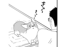 「浮気調査ハンパない」外でよその犬と触れ合った後に帰宅すると...!?／あしょんでよッ ～うちの犬ログ～1