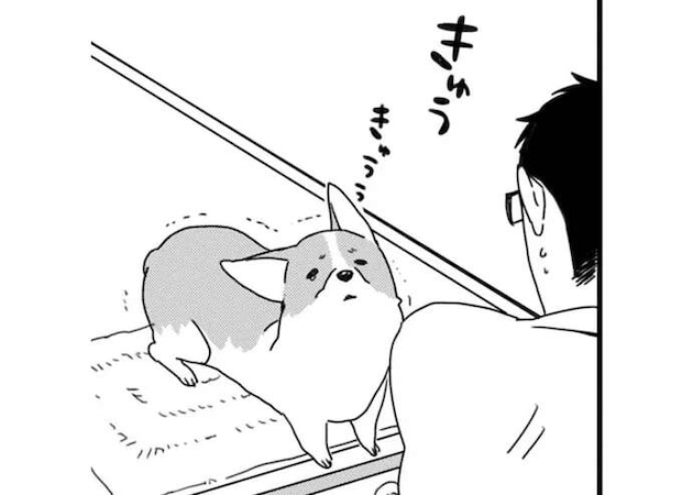 「浮気調査ハンパない」外でよその犬と触れ合った後に帰宅すると...!?／あしょんでよッ ～うちの犬ログ～1