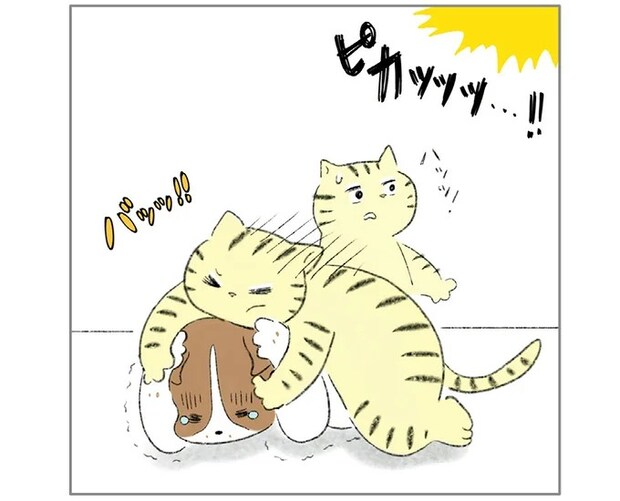 ピカッ...ドーン!! 激しい雷にブルブル怯える相棒。飼い主がいなくてもボクが守ると.../元ノラ猫と元保護犬、ふたりは親友