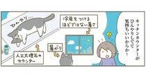 何回も注意してるのに。猫がキッチンカウンターに乗っているワケ／うちの猫がまた変なことしてる。7