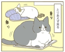 床に何か置いてあるととりあえず乗る猫。何を「確認」してるの？／うちの猫がまた変なことしてる。7