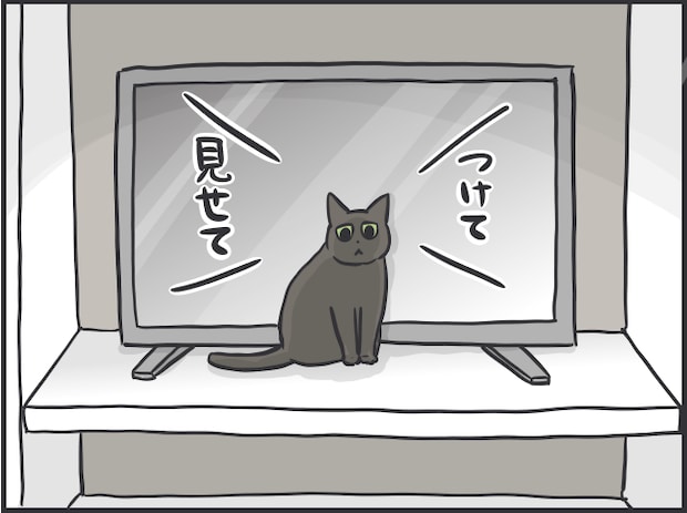 猫とのルーティン5.PNG