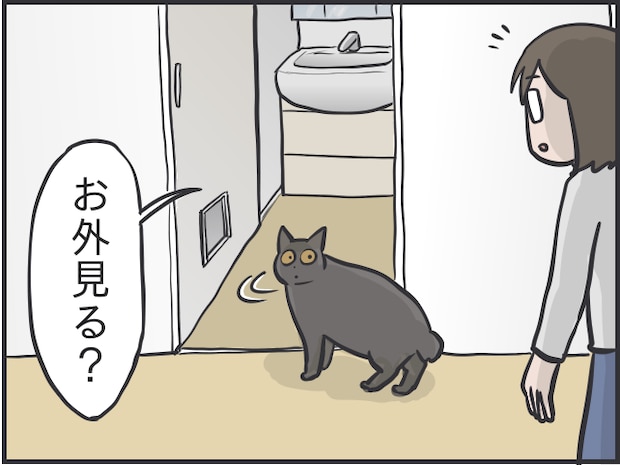 猫とのルーティン8.PNG