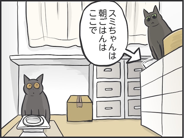 猫とのルーティン3.PNG