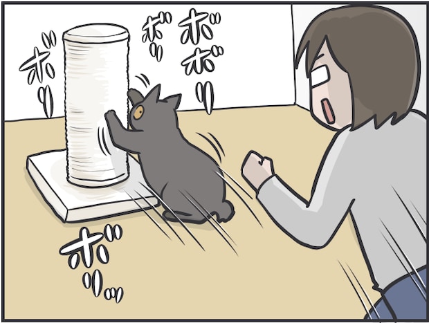 「愛猫が喜ぶ動画は...」「追いかけっこ終了の合図は...」細かすぎる愛猫のルーティン／フニャコ