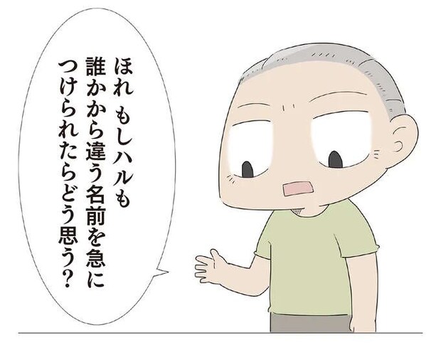 子猫に名前をつけたい孫を諭すため、つい「ママ」を持ち出して反省／ハルとゲン