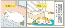 「猫用」を使わないうちの猫。室温によって寝る場所を変えるけど...／うちの猫がまた変なことしてる。8