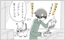 「しゃべる猫ちゃん」がうらやましい！ うちの愛猫に教えてみたら...えええ？／夜は猫といっしょ