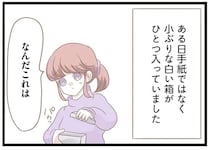 「離婚しろ」連日届く義母からの嫌がらせの手紙。続いて届いた「小箱の中身」が...怖っ！／前科持ちの義母と同居していた話