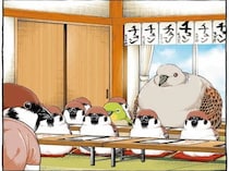 豪快な書きっぷりに驚愕！ 書道教室で出会ったメジロは「チュンチューバー」／キジバトくん日記