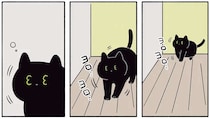飼い主の悲鳴を聞いて現れた猫。猫と虫と飼い主、夜の攻防戦の結末は／黒猫ろんと暮らしたら2