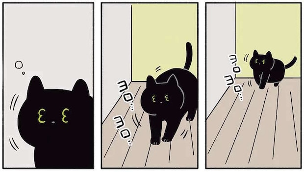 飼い主の悲鳴を聞いて現れた猫。猫と虫と飼い主、夜の攻防戦の結末は／黒猫ろんと暮らしたら2